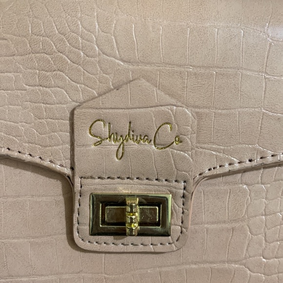 ShyDiva Co, pink purse. Small. cute for bunch looks, going out, etc - Picture 3 of 3